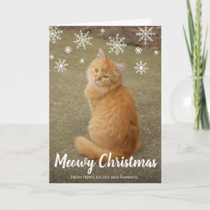 Cartes Pour Fêtes Annuelles Couteau de neige Photo Chat Meowy Noël