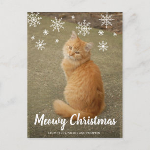 Cartes Pour Fêtes Annuelles Couteau de neige Photo Chat Meowy Noël