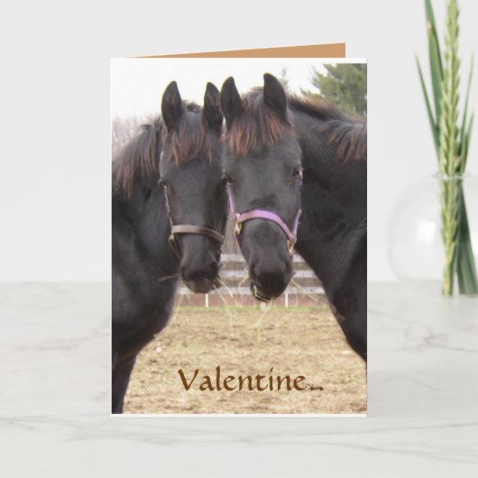 Cartes Pour Fêtes Annuelles Cowboy Valentine (Devant)