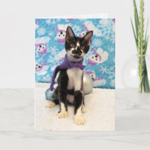 Cartes Pour Fêtes Annuelles Cowboy's Winter Fashion - Chat / Kitten Christmas