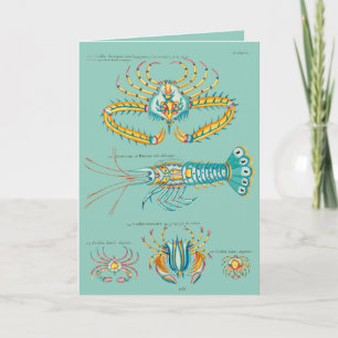 Cartes Pour Fêtes Annuelles Crabes et amis