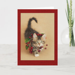 Cartes Pour Fêtes Annuelles Cranberry Kitten