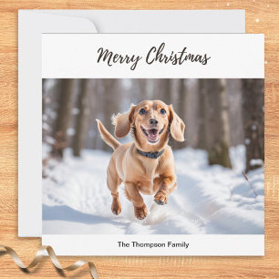 Cartes Pour Fêtes Annuelles Crème Dachshund En Chien Neige Photo Chic Cute