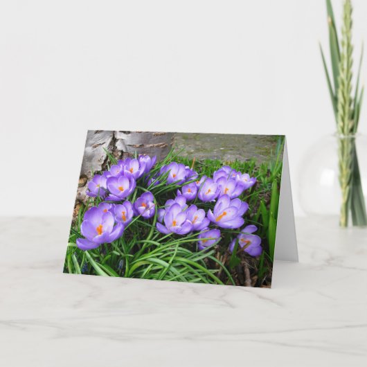 Cartes Pour Fêtes Annuelles Crocus printaniers (Devant)