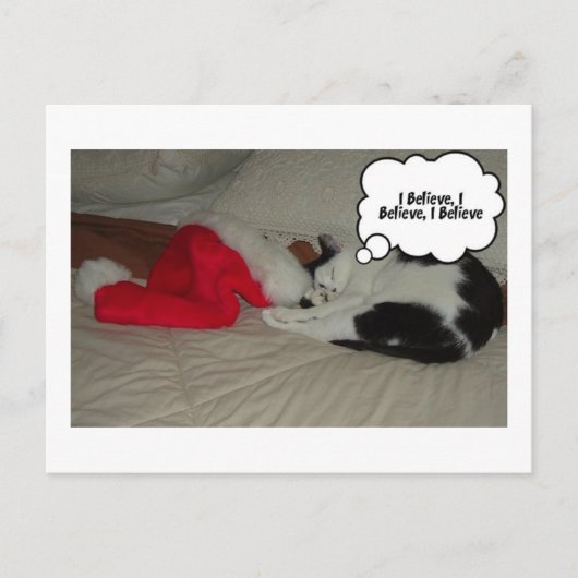 Cartes Pour Fêtes Annuelles Croire de Noël (Devant)