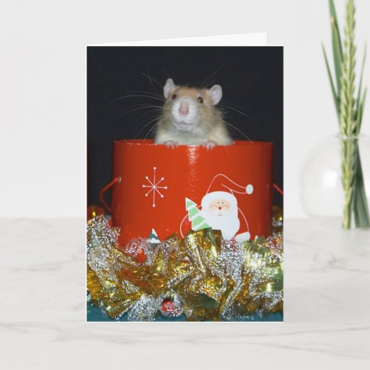 CARTES POUR FÊTES ANNUELLES CRW_9063 (Devant)