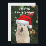 Cartes Pour Fêtes Annuelles Crystal's The Husky Dog Christmas Flat Card<br><div class="desc">Photo de Cristal,  À l'air heureux et excité pour Noël</div>