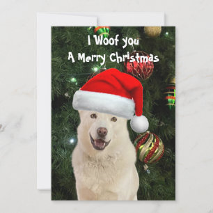 Cartes Pour Fêtes Annuelles Crystal's The Husky Dog Christmas Flat Card