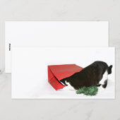 Cartes Pour Fêtes Annuelles Curieux chat de Noël (Devant / Derrière)