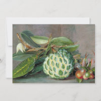 Custard Apple - Marianne North