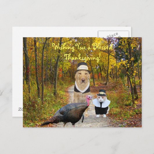 Cartes Pour Fêtes Annuelles Customizable Funny Thanksgiving Postcard (Devant / Derrière)