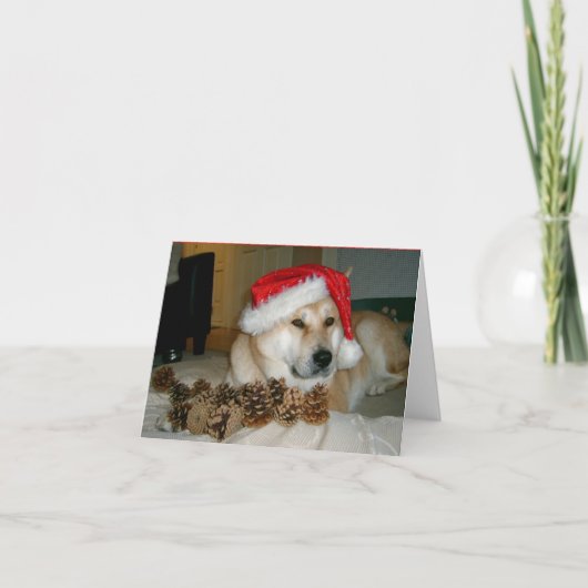 Cartes Pour Fêtes Annuelles Cute akita en chapeau de santa rouge avec cônes de (Devant)