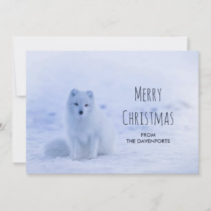 Cartes Pour Fêtes Annuelles Cute Arctic Fox sur Snowy Winter Arrière - plan