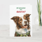 Cartes Pour Fêtes Annuelles Cute Border Collie Looks for Santa (Devant)