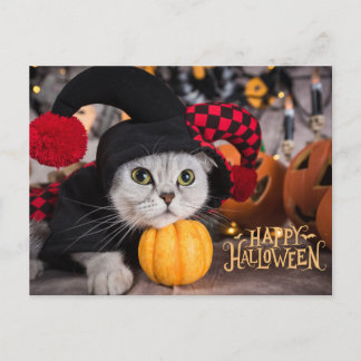 Cartes Pour Fêtes Annuelles Cute Cat in Funny Halloween Costume 