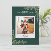 Cartes Pour Fêtes Annuelles Cute Chien Photo Custom Christmas (Debout devant)