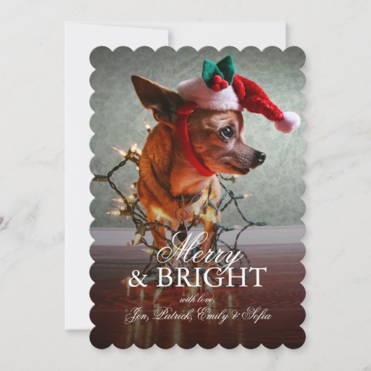 Cartes Pour Fêtes Annuelles Cute Chihuahua Avec Chapeau De Père Noël (Devant)
