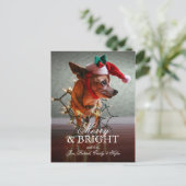 Cartes Pour Fêtes Annuelles Cute Chihuahua With A Santa Hat (Debout devant)