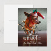 Cartes Pour Fêtes Annuelles Cute Chihuahua With A Santa Hat (Devant / Derrière)