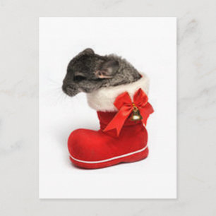 Cartes Pour Fêtes Annuelles Cute Chinchilla de Christmas Stocking