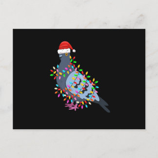 Cartes Pour Fêtes Annuelles Cute Christmas Lights Pigeon Wearing Xmas Hat - Pi