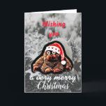 Cartes Pour Fêtes Annuelles Cute christmas monkey holidays holiday card<br><div class="desc">Cute monkey wishing merry christmas</div>