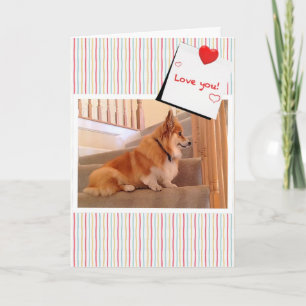 Cartes Pour Fêtes Annuelles Cute Corgi Fluffy sur les escaliers Valentine