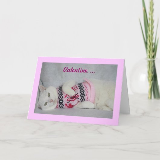 Cartes Pour Fêtes Annuelles Cute dans un pull (Devant)