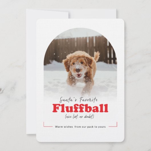 Cartes Pour Fêtes Annuelles Cute Dog Funny Naughty Pet Arch Photo Christmas (Devant)