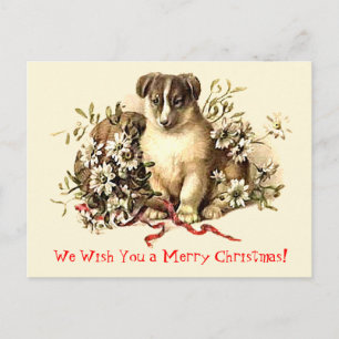 Cartes Pour Fêtes Annuelles Cute Dog Merry Christmas Cards and Postcards