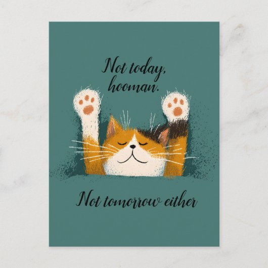 Cartes Pour Fêtes Annuelles Cute Drôle Chat Nap (Devant)
