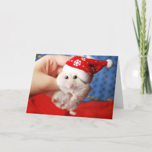 Cartes Pour Fêtes Annuelles Cute dwarf hamster Tutku with Santa Claus hat