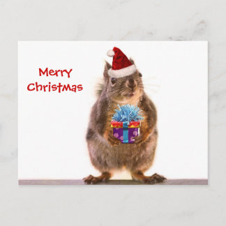 Cartes Pour Fêtes Annuelles Cute écureuil de Noël et cadeau
