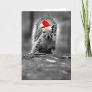 Cartes Pour Fêtes Annuelles Cute écureuil Père Noël