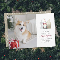 Cute Gnome Regrets | Photo de Noël pour animaux de