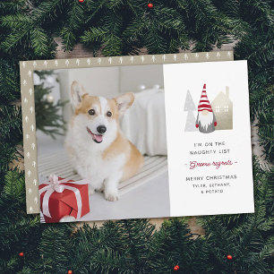 Cartes Pour Fêtes Annuelles Cute Gnome Regrets   Photo de Noël pour animaux de