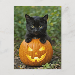 Cartes Pour Fêtes Annuelles Cute Halloween Back Cat et Jack-o'-lantern