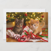 Cartes Pour Fêtes Annuelles Cute Kittens Under Christmas Tree (Devant)