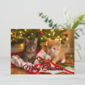 Cartes Pour Fêtes Annuelles Cute Kittens Under Christmas Tree (Debout devant)