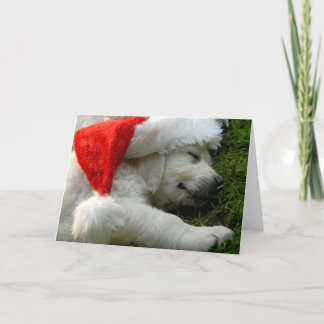 Cartes Pour Fêtes Annuelles Cute labrador puppy with