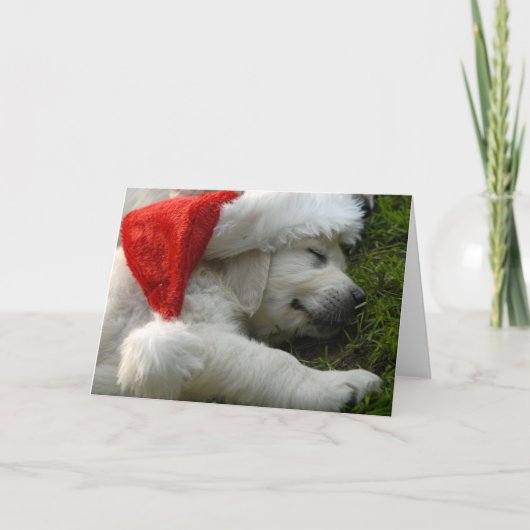 Cartes Pour Fêtes Annuelles Cute labrador puppy with (Devant)