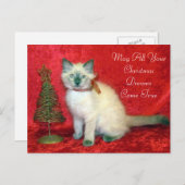 Cartes Pour Fêtes Annuelles Cute Siamese Kitten Arbre de Noël (Devant / Derrière)