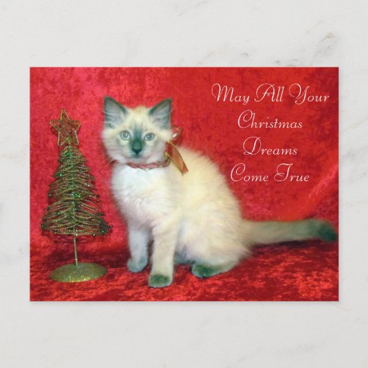 Cartes Pour Fêtes Annuelles Cute Siamese Kitten Arbre de Noël (Devant)
