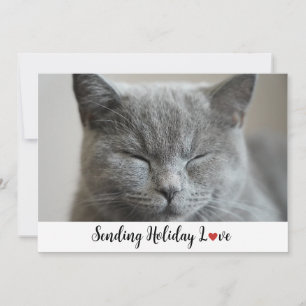 Cartes Pour Fêtes Annuelles Cute Sleepy Chat Envoi Holiday Love