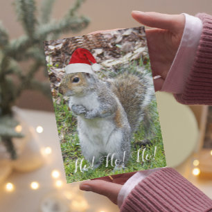 Cartes Pour Fêtes Annuelles Cute Squirrel Portant Père Noël Casquette Holiday