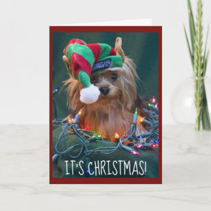 Cartes Pour Fêtes Annuelles Cute Yorkie portant un Casquette Elfe