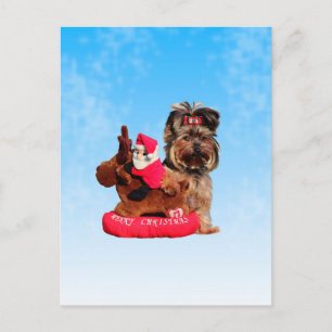 Cartes Pour Fêtes Annuelles Cute Yorkshire Terrier Joyeux Noël