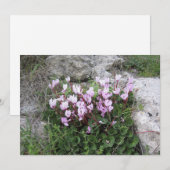 Cartes Pour Fêtes Annuelles Cyclamen sauvage (Devant / Derrière)