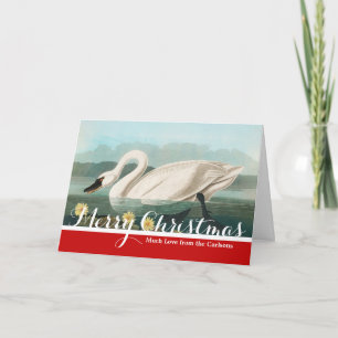 Cartes Pour Fêtes Annuelles cygne audubon cygnes d'eau blanche