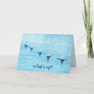 Cartes Pour Fêtes Annuelles Cygnes drôles en plongée Qu'est-ce qui se passe Oc
